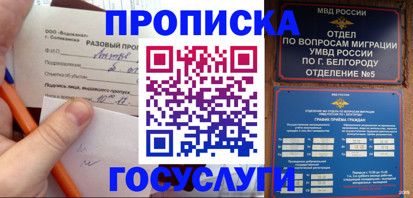 временная регистрация адрес в Лесном
